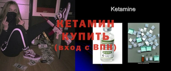 шишки Сатка